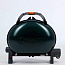 Газовый гриль O-GRILL 500M green