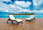 Шезлонг пластиковый Siesta Contract GS 1009 (Fiji)