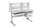 Парта Ortensia II Grey Cubby Серый