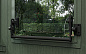 Сарай "Поттинг" Potting shed Evotech Green 6х8