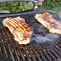 Гриль O-GRILL 800T синий
