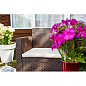 Комплект мебели NEBRASKA Terrace