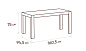 Стол обеденный прямоугольный FIJI Table